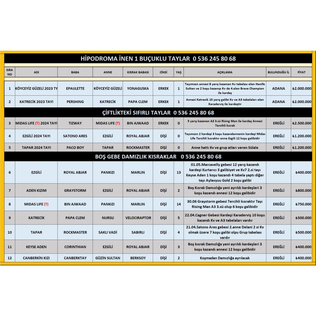 Harika kan hatlı Hipodromda, Çiftlikte,Sıfırlı Taylar Boş ve Gebe damızlıklar Teklife,vet.kont.Açık 