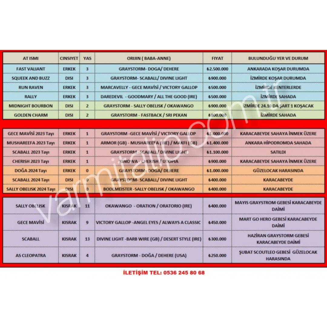 Harika Eşkalli Satılık gebe kısraklar,Koşar durumda,İdmanda,1 buçuklu ve Sıfırlı İngilizler 